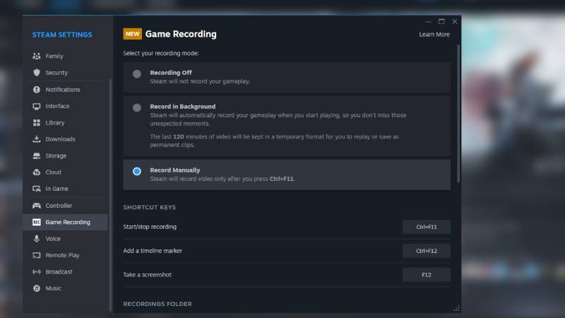 steam game recording - setting